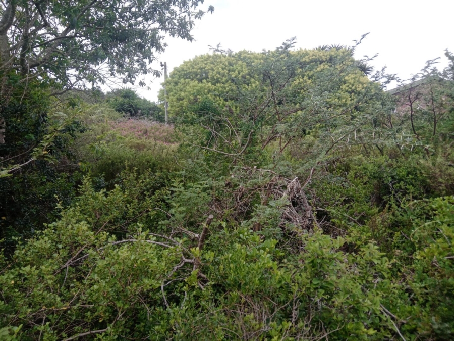 Commercial Property for Sale in Aston Bay Eastern Cape